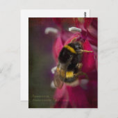 （昆虫）マルハナバチはがき ポストカード (正面/裏面)