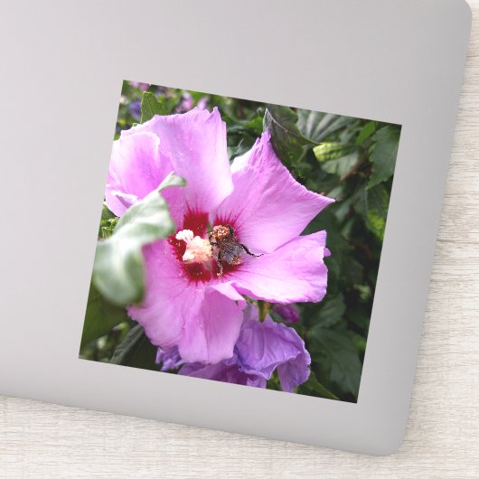 （昆虫）マルハナバチオンハイビスカスフラワー シール (詳細)