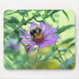 （昆虫）マルハナバチオンパープルデイジー マウスパッド