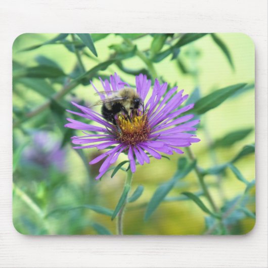 （昆虫）マルハナバチオンパープルデイジー マウスパッド (正面)