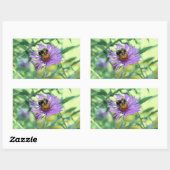 (昆虫)マルハナバチオンパープルデイジー 長方形シール (シート)