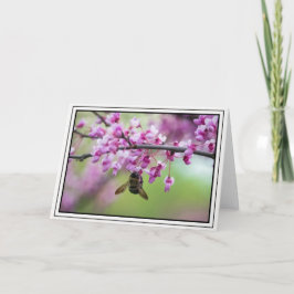 （昆虫）マルハナバチオンレッドブドフラムス カード