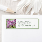 (昆虫)マルハナバチオンレッドブドフラムス ラベル (インサイチュ)