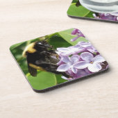 （昆虫）マルハナバチオン薄紫クローズアップbyジョネイル コースター (左側)