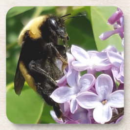 （昆虫）マルハナバチオン薄紫クローズアップbyジョネイル コースター