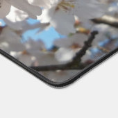 （昆虫）マルハナバチオン野生さくらんぼ開花 デスクマット (コーナー)