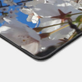 （昆虫）マルハナバチオン野生さくらんぼ開花 デスクマット (コーナー)