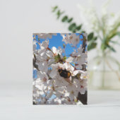 （昆虫）マルハナバチオン野生さくらんぼ開花 ポストカード (スタンド正面)