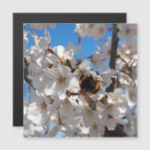 （昆虫）マルハナバチオン野生さくらんぼ開花，磁気カード (正面/裏面)