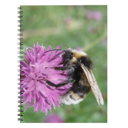 （昆虫）マルハナバチオンThistle Notebook ノートブック (正面)