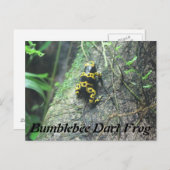 (昆虫)マルハナバチダーツフロッグ# 3 ポストカード (正面/裏面)