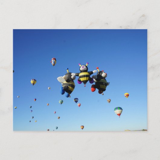 （昆虫）マルハナバチトリ ポストカード (正面)