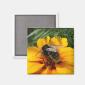 （昆虫）マルハナバチ磁石 マグネット (正面/裏面)
