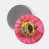 （昆虫）マルハナバチ磁石 マグネット (正面/裏面)