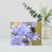 (昆虫)マルハナバチ食べ物を与えの花 ポストカード (スタンド正面)