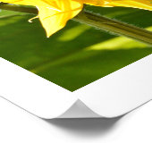 （昆虫）マルハナバチ&ひまわり ポスター (角)