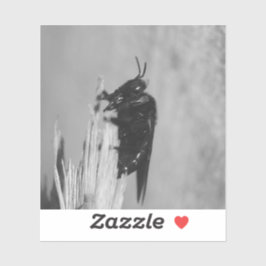 （昆虫）マルハナバチ シール