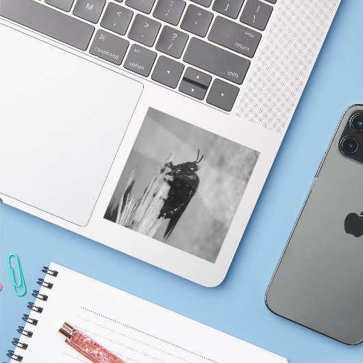 （昆虫）マルハナバチ シール (ノートパソコンとiPhone)