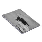 （昆虫）マルハナバチ ノートブック (右側)