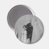 （昆虫）マルハナバチ マグネット (正面/裏面)