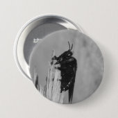 （昆虫）マルハナバチ 缶バッジ (正面&裏面)