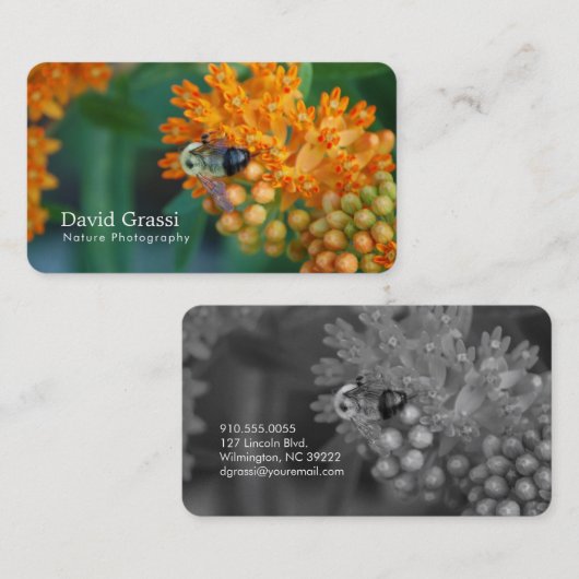 (昆虫)マルハナバチ(自然)写真家 名刺 (正面/裏面)