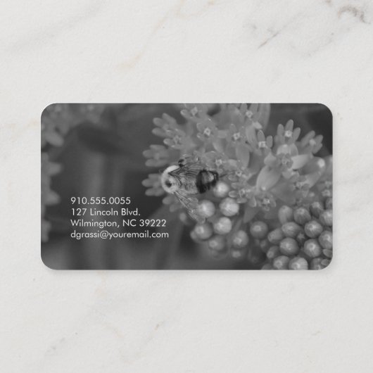 (昆虫)マルハナバチ(自然)写真家 名刺 (裏面)