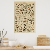 昆虫 – 昆虫のコレクション ポスター (キッチン)