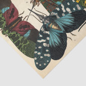 昆虫,昆虫,プレートNo.16 by E. A. Seguy 薄葉紙 (詳細)