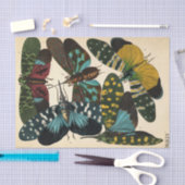 昆虫,昆虫,プレートNo.16 by E. A. Seguy 薄葉紙 (クラフト)