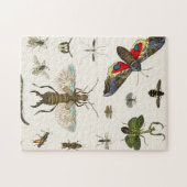 昆虫，昆虫，自然，蝶，虫，蜂 ジグソーパズル (横)