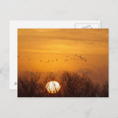 昇る太陽に影を落とした砂丘の鶴 ポストカード (正面/裏面)