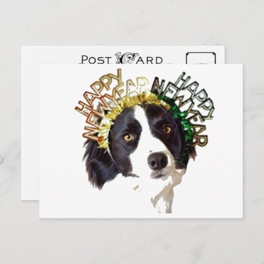 明けましておめでとうの帽子を身に着けている犬 シーズンポストカード (正面/裏面)