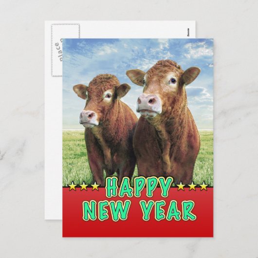 明けましておめでとうの魔法使い牛男の子 シーズンポストカード (正面/裏面)