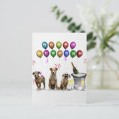 明けましておめでとう2016年を望んでいるかわいい3匹の犬 シーズンポストカード (スタンド正面)