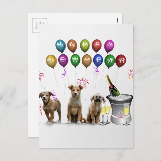 明けましておめでとう2016年を望んでいるかわいい3匹の犬 シーズンポストカード (正面/裏面)