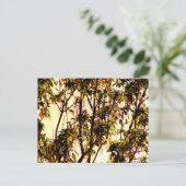 明け方からメイプル葉と花のポストカ ポストカード (スタンド正面)