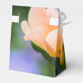 明らかな欲望の福音書 フェイバーボックス (裏面サイド)