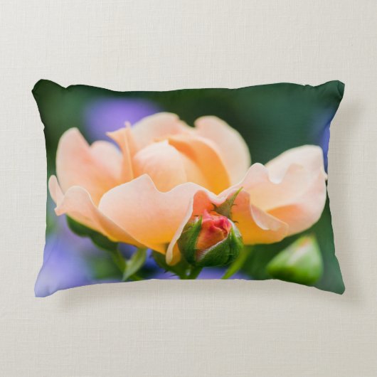 明らかな欲求 アクセントクッション (正面)