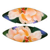 明らかな欲求 アメリカンフットボール (パネル)