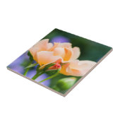 明らかな欲求 タイル (側面)