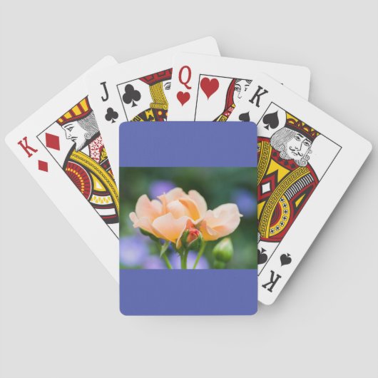 明らかな欲求 トランプ (裏面)