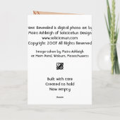 明らかにされた巣 カード (裏面)