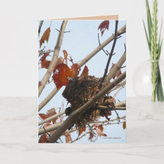 明らかにされた巣 カード (正面)