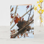 明らかにされた巣 カード (黄色い花)