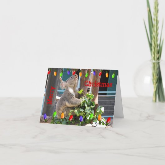 明るいあなたのライト輝やきはよろしいです。 コアラのメッセージカード シーズンカード (正面)