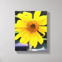 明るいかわいらし黄色のひまわりクローズアップ キャンバスプリント