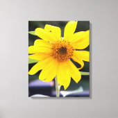 明るいかわいらし黄色のひまわりクローズアップ キャンバスプリント (正面)