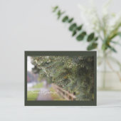 明るいきらめく常緑の針モダン休日 ポストカード (スタンド正面)