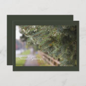 明るいきらめく常緑の針モダン休日 ポストカード (正面/裏面)